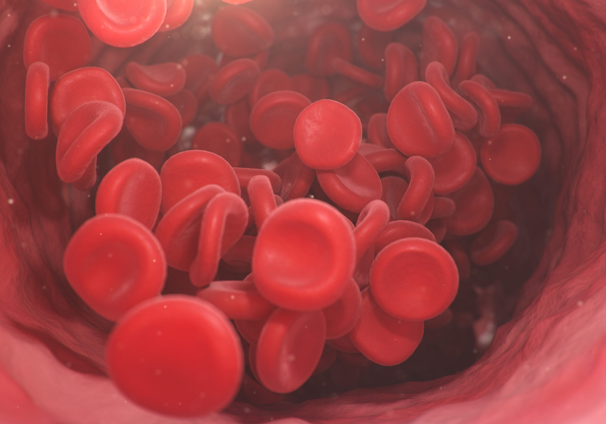 red blood cells