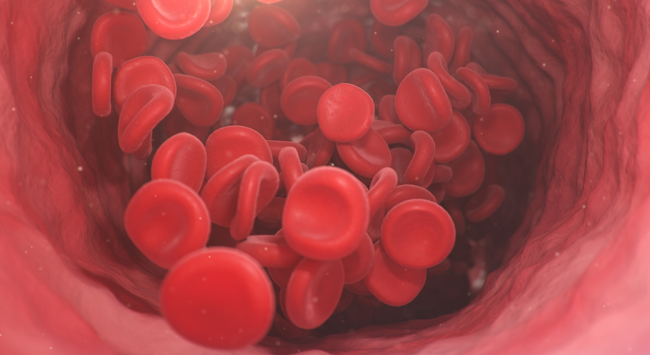 red blood cells